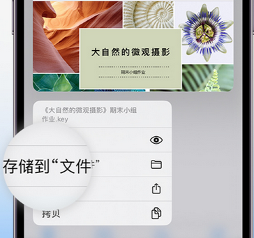 乌马河apple维修中心分享iPhone文件应用中存储和找到下载文件