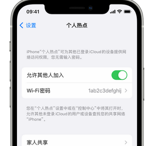 乌马河apple服务站点分享iPhone上个人热点丢失了怎么办 