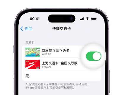 乌马河apple维修点分享iPhone上更换Apple Pay快捷交通卡手绘卡面 