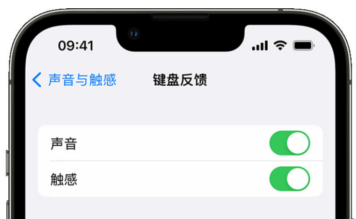 乌马河苹果手机维修分享iPhone 14触感键盘使用方法 