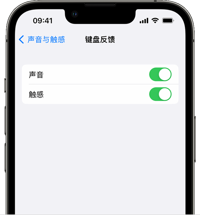 乌马河苹果14维修店分享如何在 iPhone 14 机型中使用触感键盘 