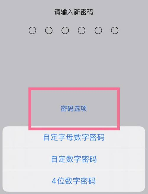 乌马河苹果14维修分享iPhone 14plus设置密码的方法 