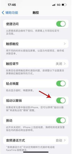 乌马河苹果手机维修分享iPhone手机如何设置摇一摇删除文字 